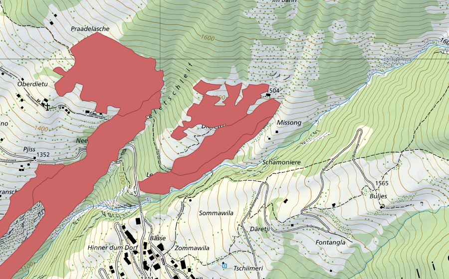 swisstopo national map showing the protected perimeter of Lirschigrabu (Dry meadow)