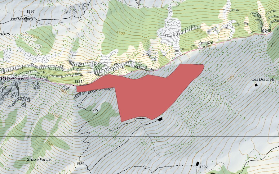 Landeskarte swisstopo mit dem Schutzperimeter von Litemard (Trockenwiese)