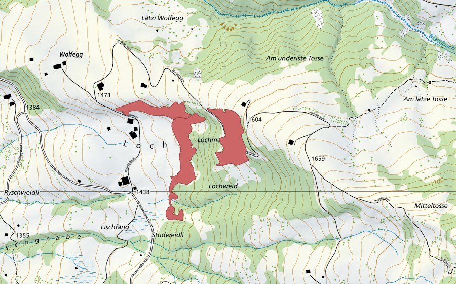 Carta nazionale swisstopo con il perimetro protetto di Loch (Prato secco)