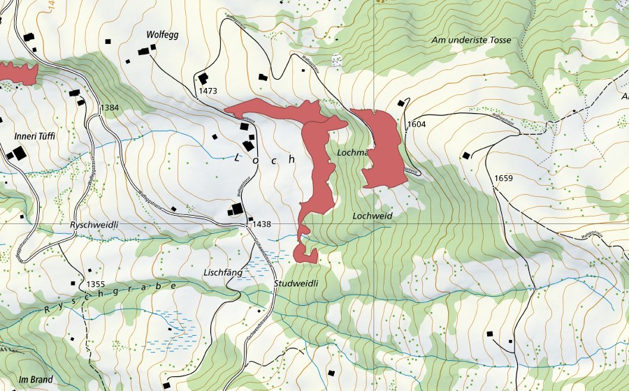 Landeskarte swisstopo mit dem Schutzperimeter von Loch (Trockenwiese)