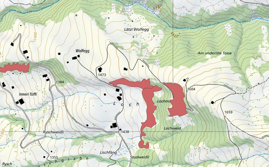 Landeskarte swisstopo mit dem Schutzperimeter von Loch (Trockenwiese)