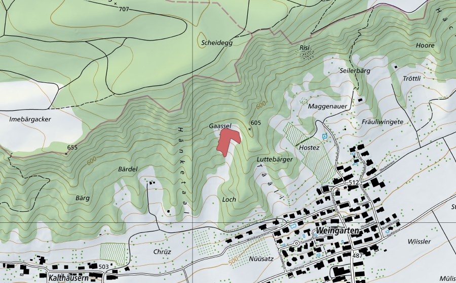 Landeskarte swisstopo mit dem Schutzperimeter von Loch (Trockenwiese)