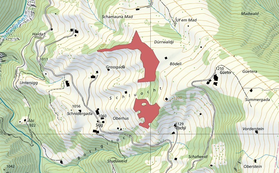 Landeskarte swisstopo mit dem Schutzperimeter von Lochji (Trockenwiese)