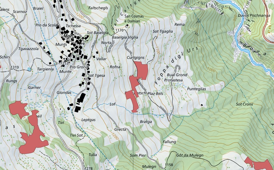 Landeskarte swisstopo mit dem Schutzperimeter von Lof (Trockenwiese)