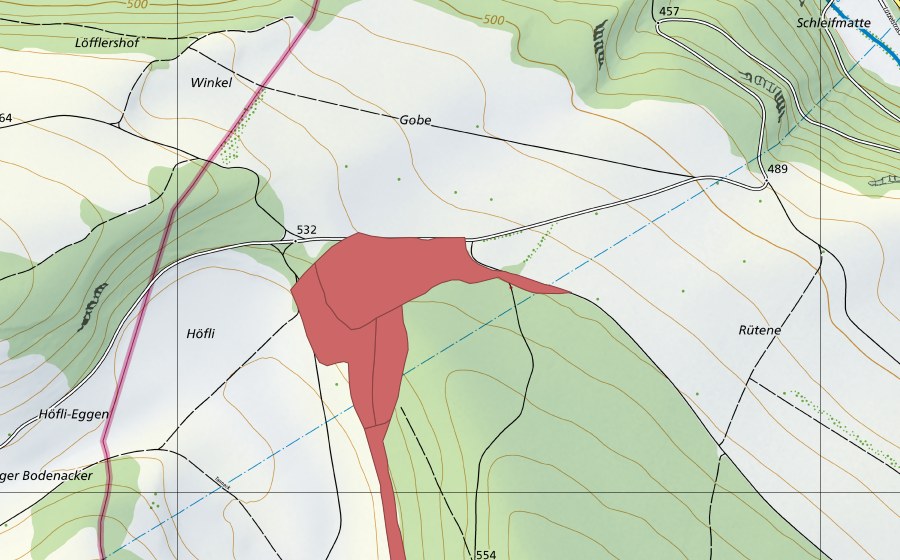 Landeskarte swisstopo mit dem Schutzperimeter von Löli (Trockenwiese)