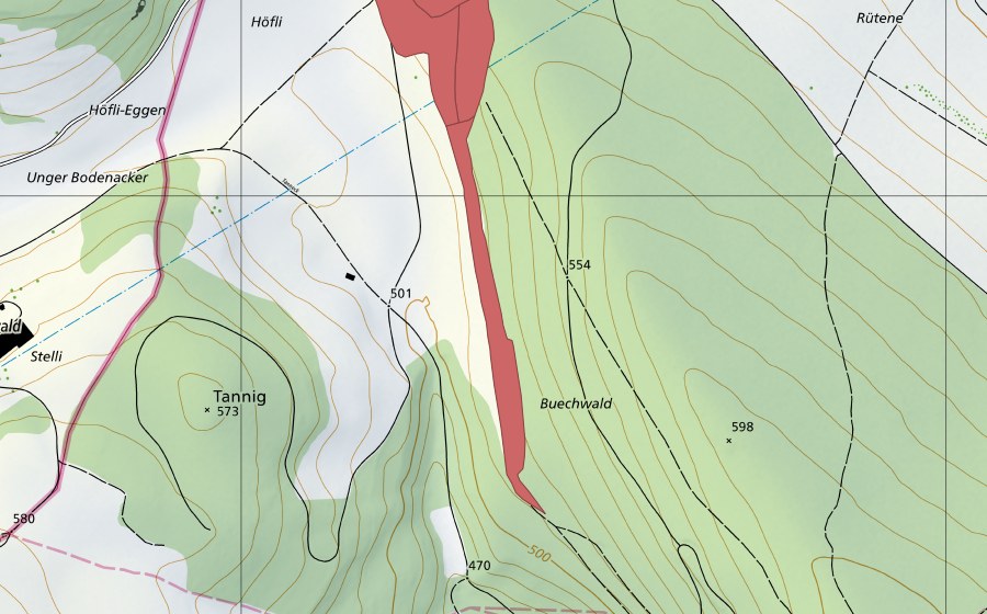 swisstopo national map showing the protected perimeter of Löli (Dry meadow)