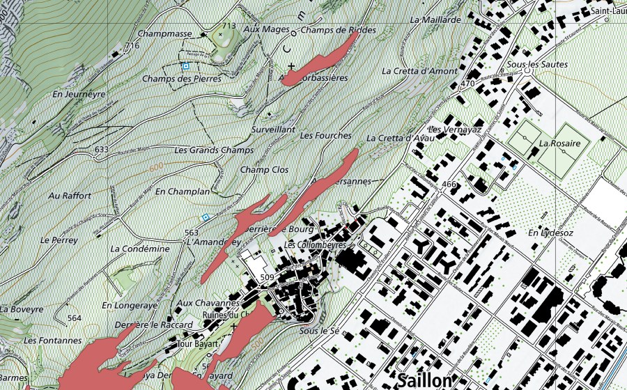 swisstopo national map showing the protected perimeter of Longeraie (Dry meadow)