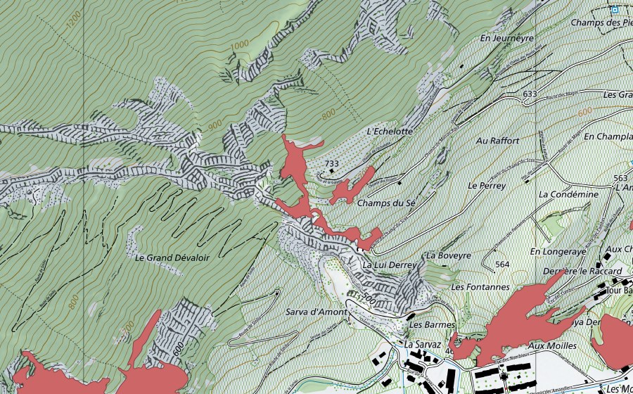 swisstopo national map showing the protected perimeter of Longeraie (Dry meadow)