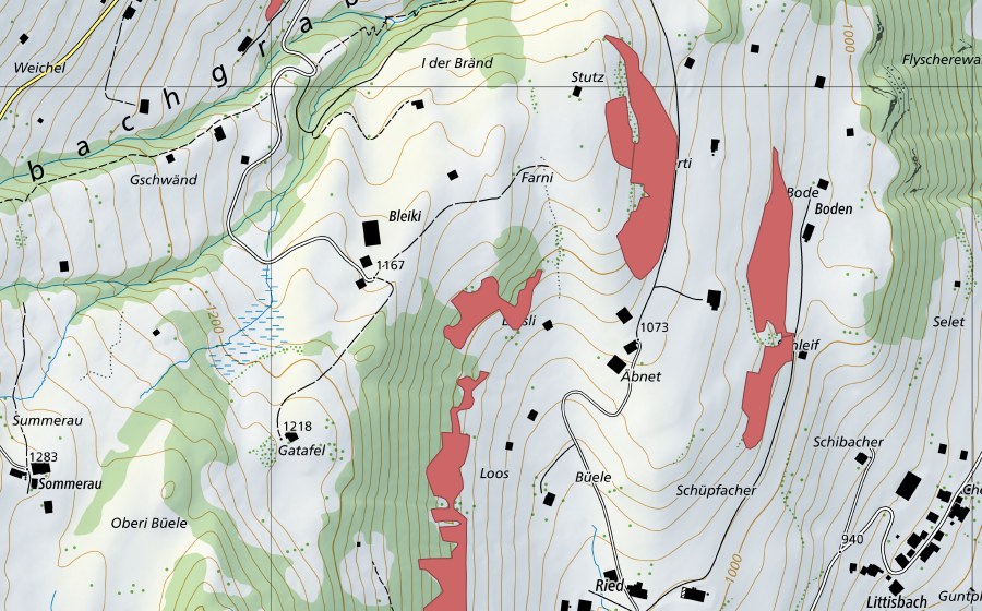 swisstopo national map showing the protected perimeter of Loos (Dry meadow)