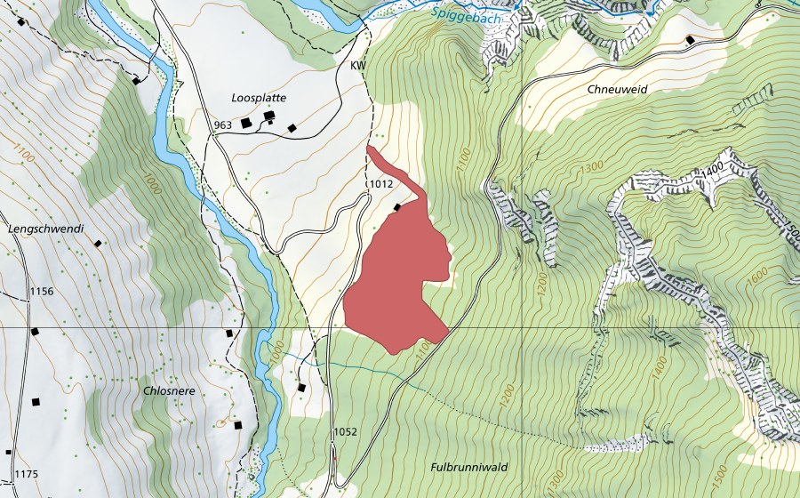 Carte nationale swisstopo avec le périmètre protégé de Loosplatte (Prairie sèche)