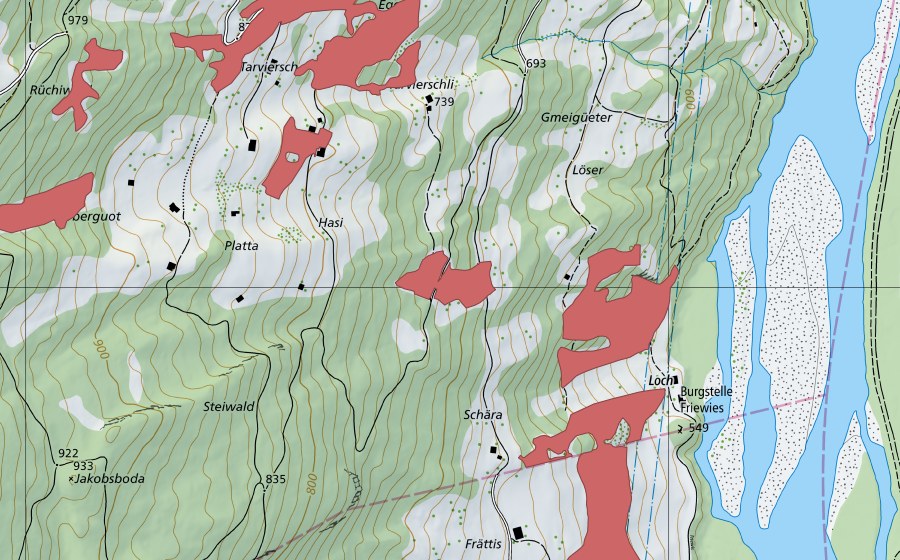Landeskarte swisstopo mit dem Schutzperimeter von Löser (Trockenwiese)