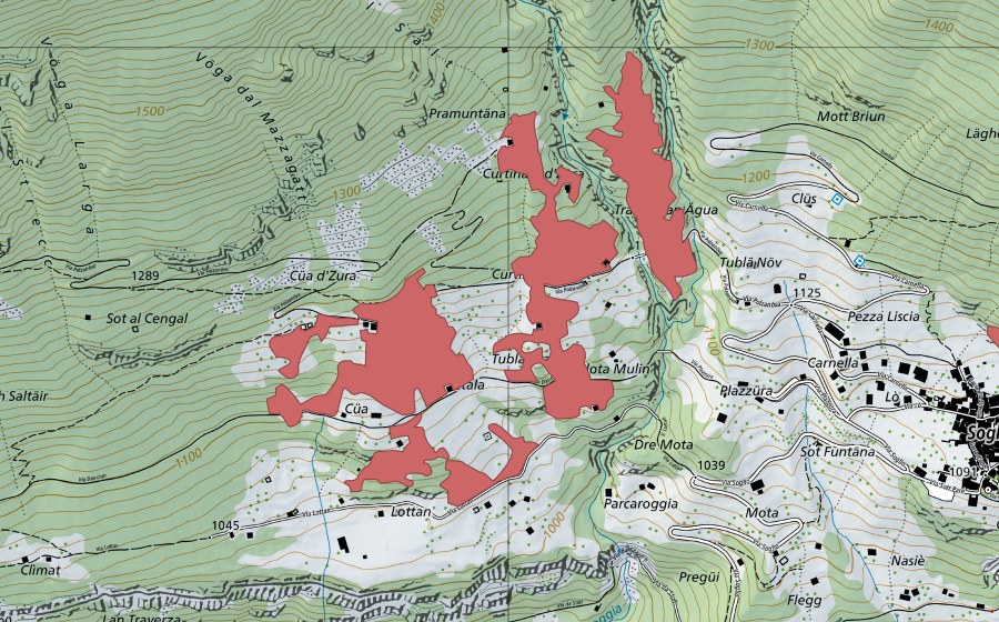 swisstopo national map showing the protected perimeter of Lottan (Dry meadow)