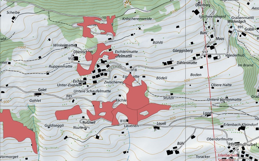 Landeskarte swisstopo mit dem Schutzperimeter von Loueli (Trockenwiese)