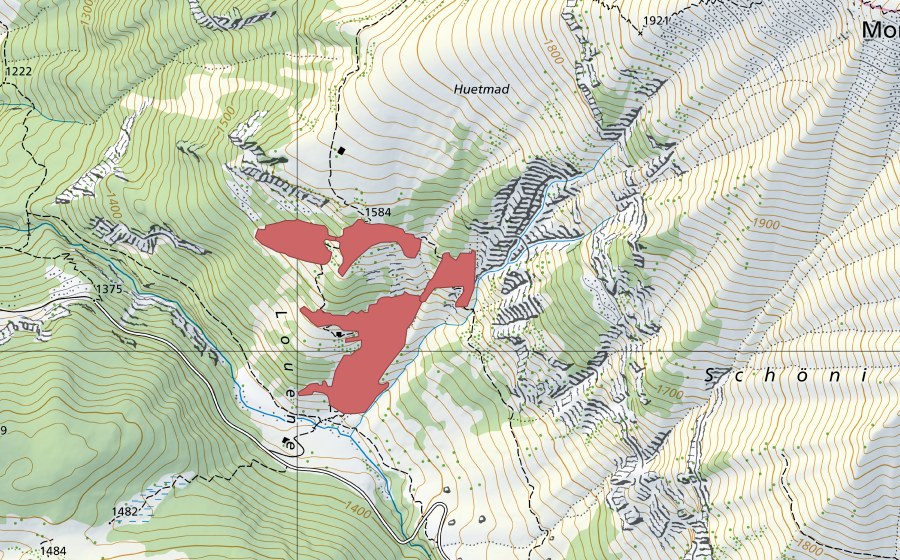 Landeskarte swisstopo mit dem Schutzperimeter von Louene (Trockenwiese)