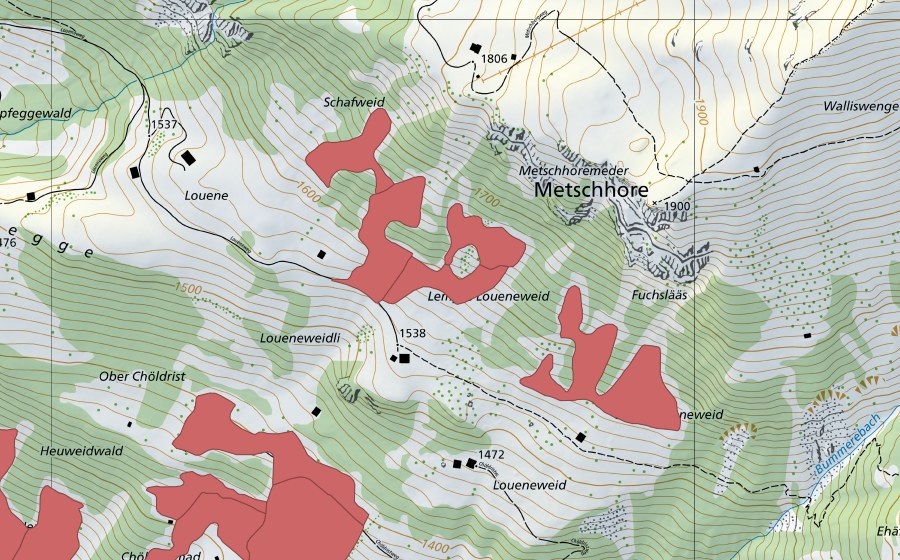swisstopo national map showing the protected perimeter of Loueneweidli (Dry meadow)