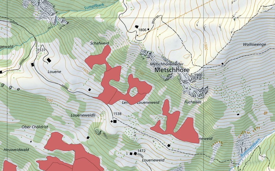 Carte nationale swisstopo avec le périmètre protégé de Loueneweidli (Prairie sèche)