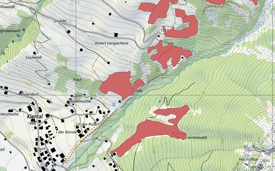 Landeskarte swisstopo mit dem Schutzperimeter von Louweid (Trockenwiese)