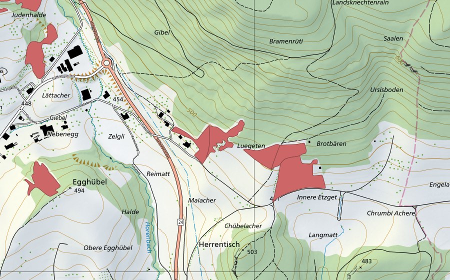 swisstopo national map showing the protected perimeter of Luegeten (Dry meadow)