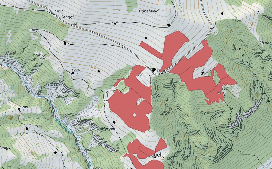 Carte nationale swisstopo avec le périmètre protégé de Lusbüel (Prairie sèche)