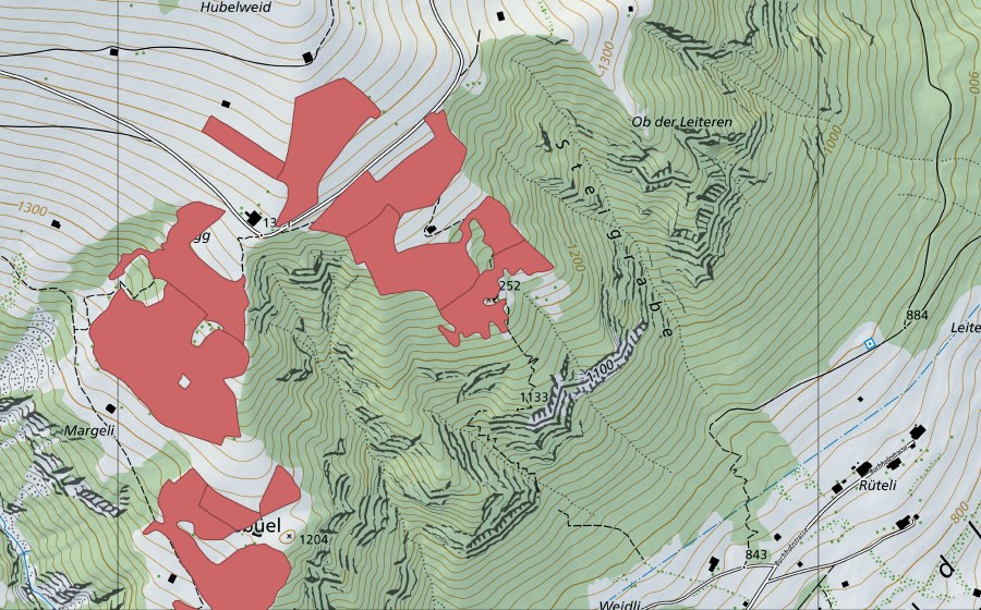 swisstopo national map showing the protected perimeter of Lusbüel (Dry meadow)