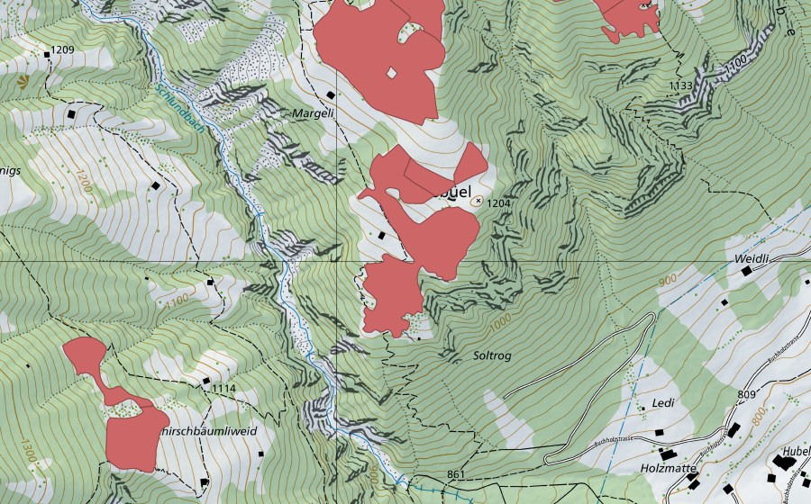 Carte nationale swisstopo avec le périmètre protégé de Lusbüel (Prairie sèche)