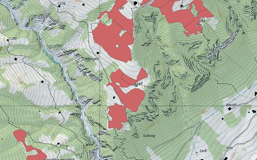 swisstopo national map showing the protected perimeter of Lusbüel (Dry meadow)
