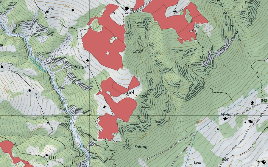 Landeskarte swisstopo mit dem Schutzperimeter von Lusbüel (Trockenwiese)