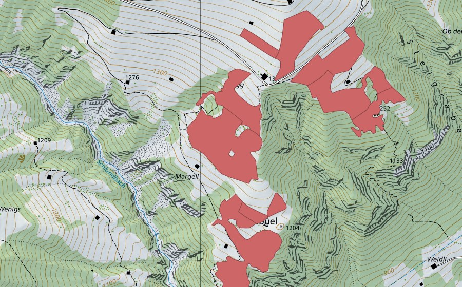 swisstopo national map showing the protected perimeter of Lusbüel (Dry meadow)