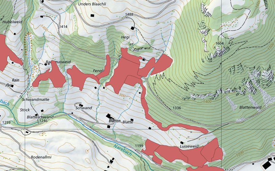 swisstopo national map showing the protected perimeter of Lusseweid (Dry meadow)