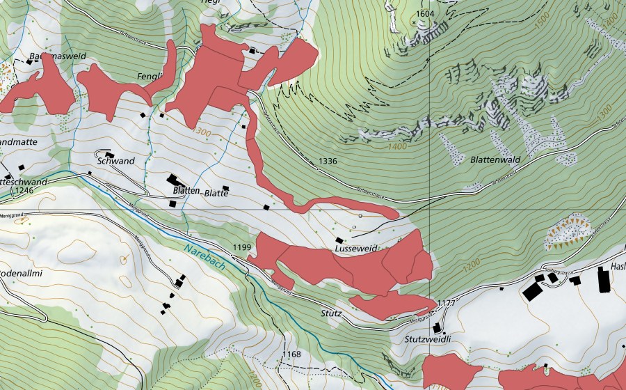 swisstopo national map showing the protected perimeter of Lusseweid (Dry meadow)