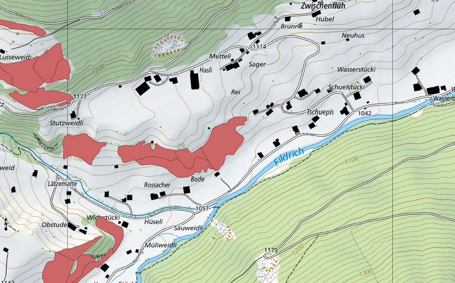 swisstopo national map showing the protected perimeter of Lusseweid (Dry meadow)