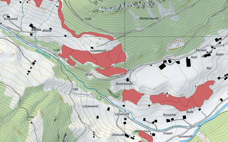 Carte nationale swisstopo avec le périmètre protégé de Lusseweid (Prairie sèche)