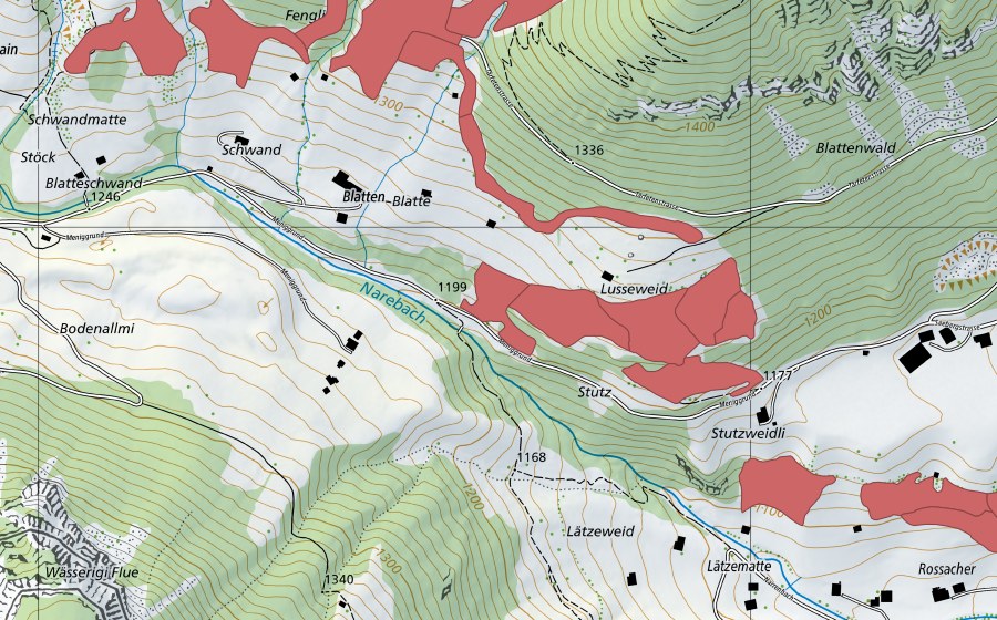 swisstopo national map showing the protected perimeter of Lusseweid (Dry meadow)