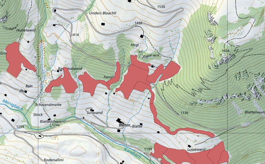 swisstopo national map showing the protected perimeter of Lusseweid (Dry meadow)
