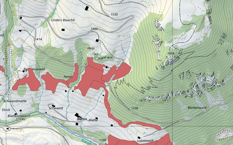 swisstopo national map showing the protected perimeter of Lusseweid (Dry meadow)