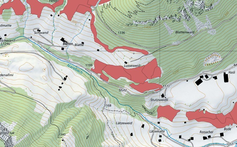 swisstopo national map showing the protected perimeter of Lusseweid (Dry meadow)
