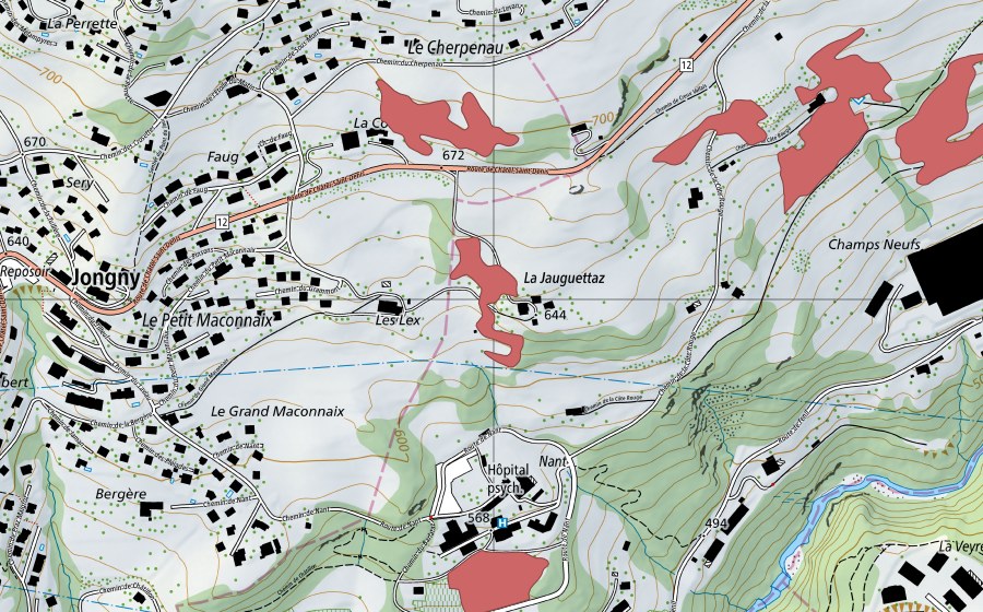 swisstopo national map showing the protected perimeter of Maconnex (Dry meadow)
