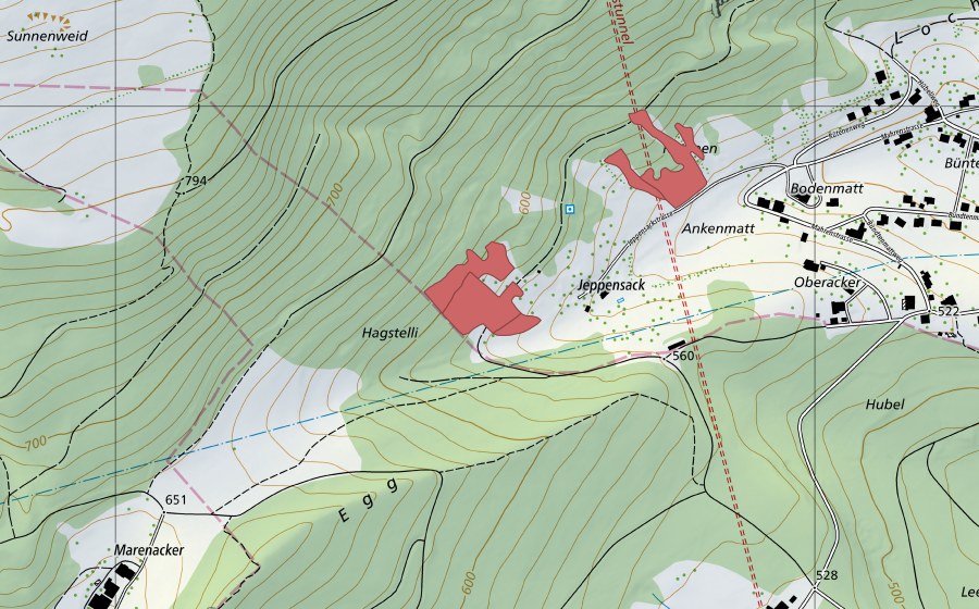 Carte nationale swisstopo avec le périmètre protégé de Mahren (Prairie sèche)