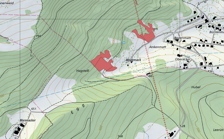 Landeskarte swisstopo mit dem Schutzperimeter von Mahren (Trockenwiese)