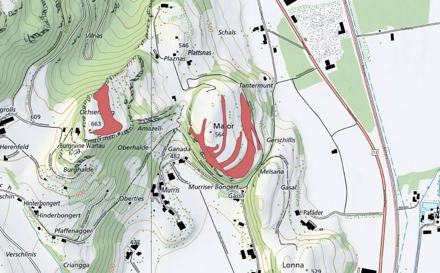 swisstopo national map showing the protected perimeter of Major (Dry meadow)