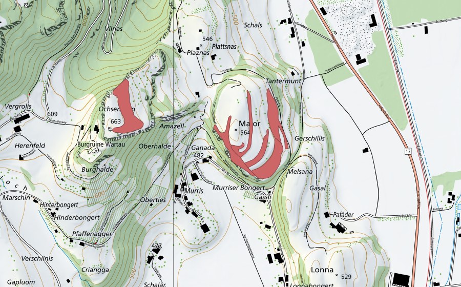 Landeskarte swisstopo mit dem Schutzperimeter von Major (Trockenwiese)