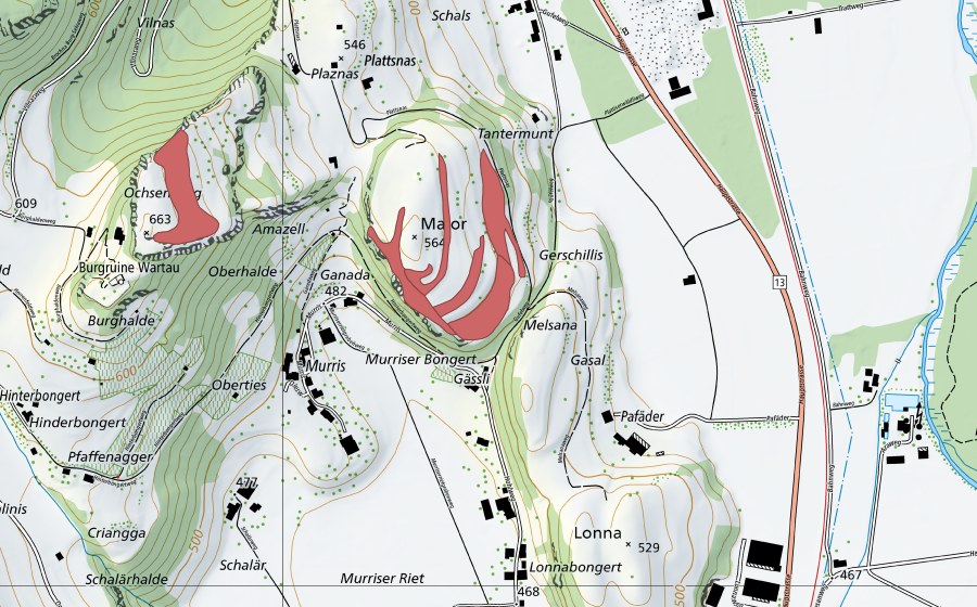 Landeskarte swisstopo mit dem Schutzperimeter von Major (Trockenwiese)