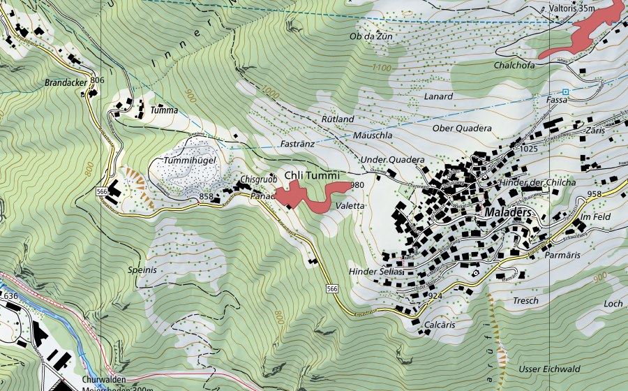 Landeskarte swisstopo mit dem Schutzperimeter von Maladers (Trockenwiese)