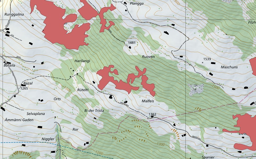 Landeskarte swisstopo mit dem Schutzperimeter von Malfeis (Trockenwiese)