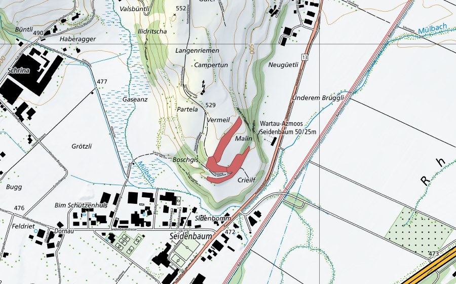 swisstopo national map showing the protected perimeter of Malin (Dry meadow)