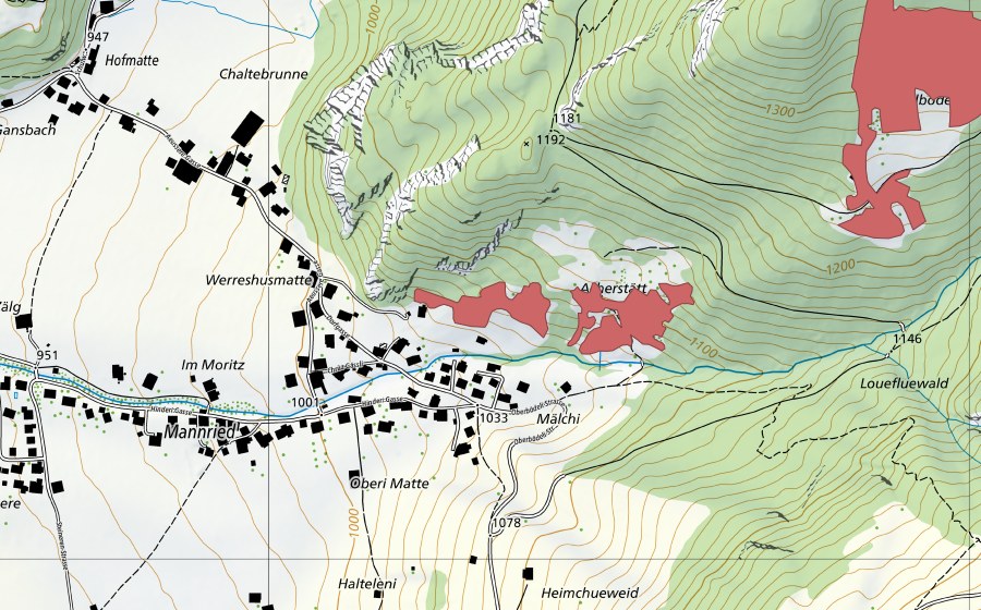swisstopo national map showing the protected perimeter of Mannried (Dry meadow)