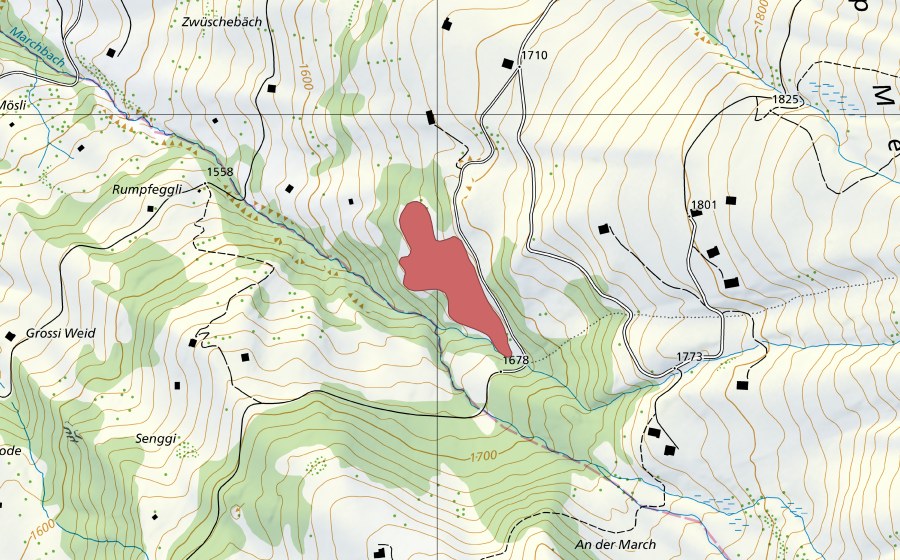 swisstopo national map showing the protected perimeter of Marchgrabe (Dry meadow)