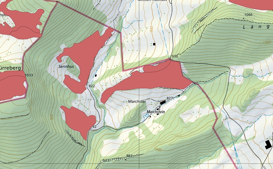 Landeskarte swisstopo mit dem Schutzperimeter von Marchstei (Trockenwiese)