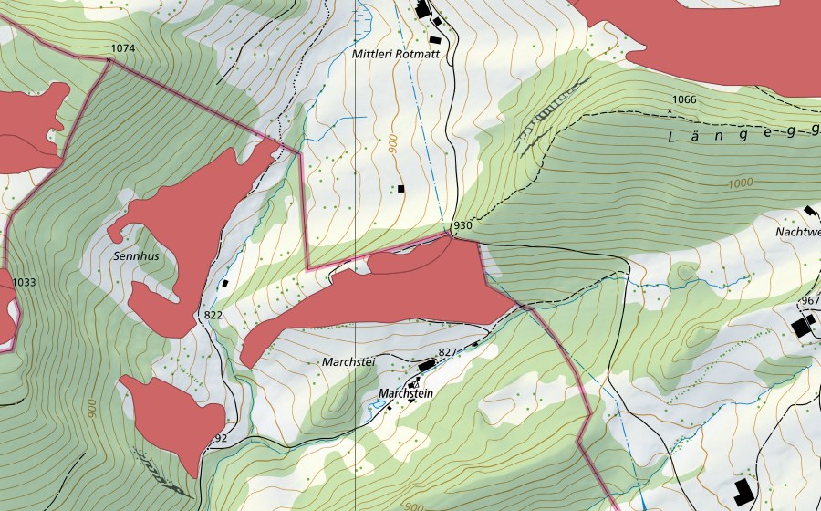 Landeskarte swisstopo mit dem Schutzperimeter von Marchstei (Trockenwiese)