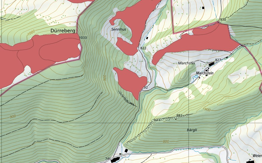 Landeskarte swisstopo mit dem Schutzperimeter von Marchstei (Trockenwiese)
